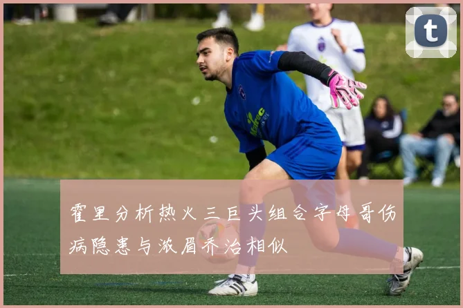 霍里分析热火三巨头组合字母哥伤病隐患与浓眉乔治相似