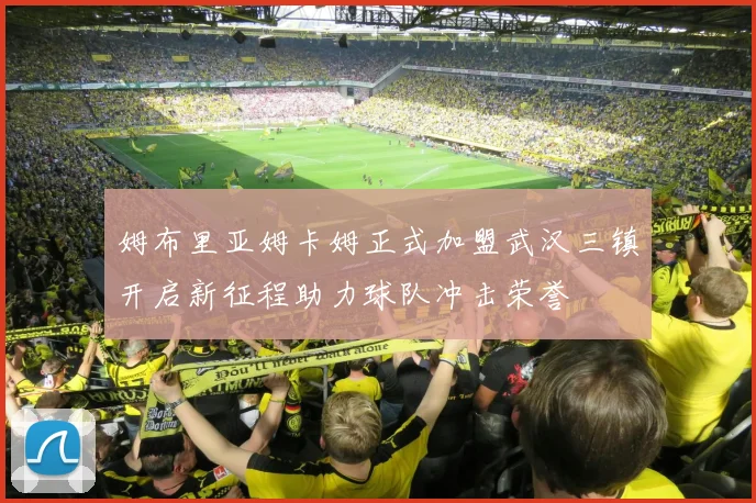 姆布里亚姆卡姆正式加盟武汉三镇开启新征程助力球队冲击荣誉